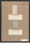 Navicula sp. (de-Toni-Nr.: Genus 1) Zeichnungen Sammlung Grunow Nr. 1540 (NHMW-BOT-W0368240)